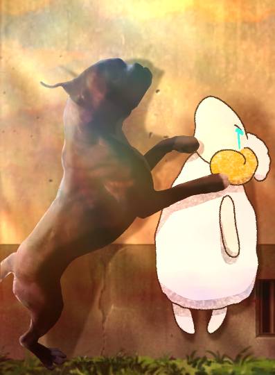 生き物ルーム第53