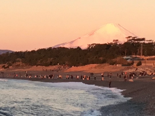 ★ドンキ♡♡ロピア 雑談54★