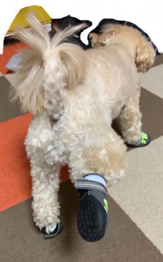 生き物ルーム第52