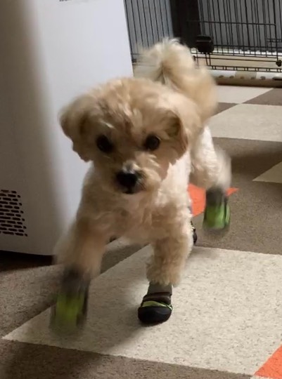 生き物ルーム第52