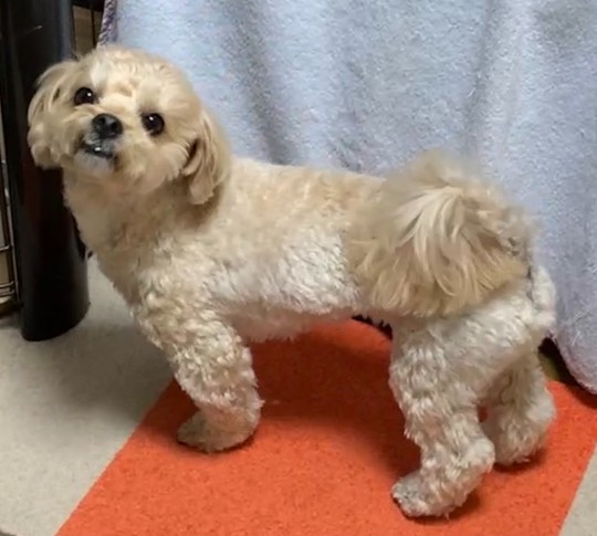 生き物ルーム第52