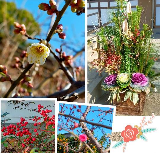 ★ドンキ♡♡ロピア 雑談54★