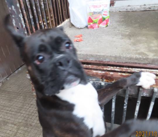 生き物ルーム第53