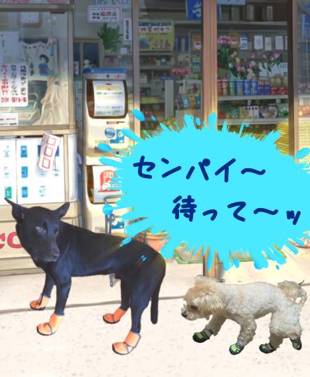 生き物ルーム第52