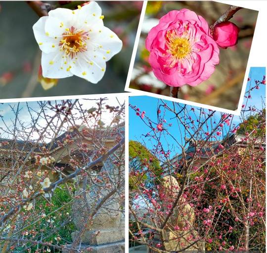 ★ドンキ♡♡ロピア 雑談55★