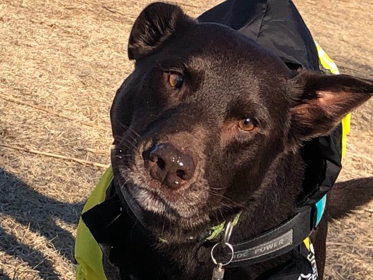 生き物ルーム第53