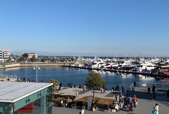 マスク同窓会詰所兼ニューフェイス歓迎所33(優しさ)