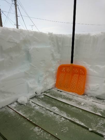 つぶやきトピック 61  年末年始も頑張りませう