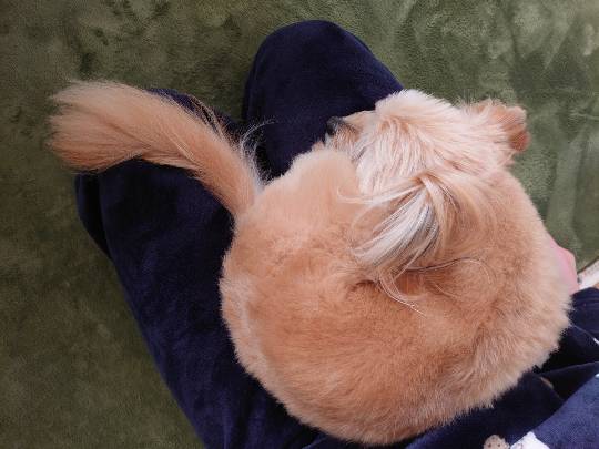 生き物ルーム第53