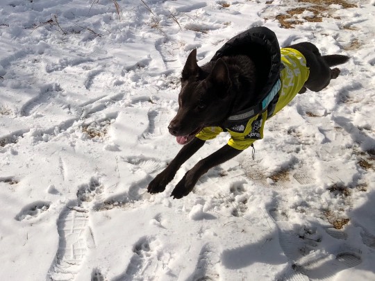 生き物ルーム第52