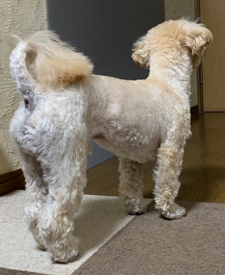 生き物ルーム第52