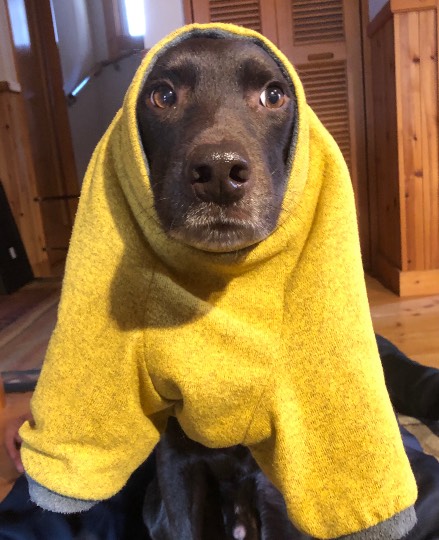 生き物ルーム第52