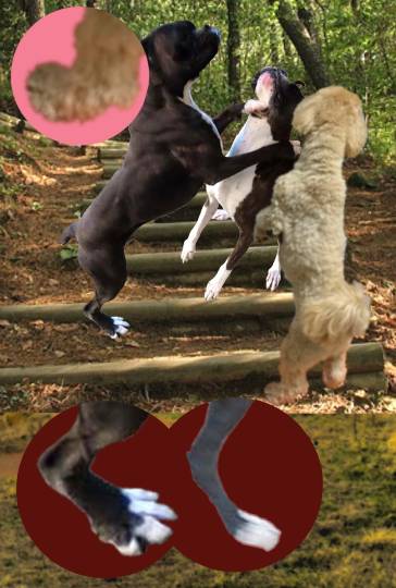 生き物ルーム第53