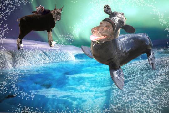 生き物ルーム第52