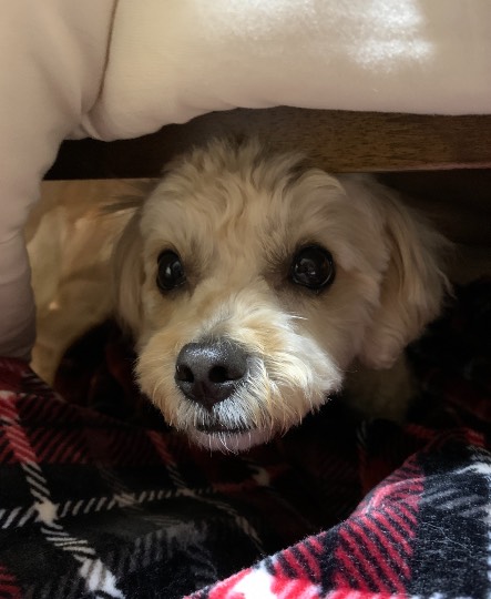 生き物ルーム第52