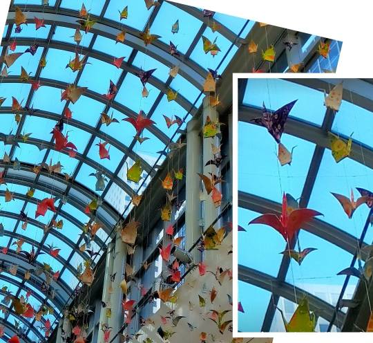 ★ドンキ♡♡ロピア 雑談55★