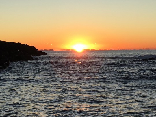 ★ドンキ♡♡ロピア 雑談54★