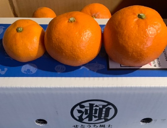 ★ドンキ♡♡ロピア 雑談55★