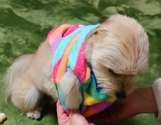 生き物ルーム第52