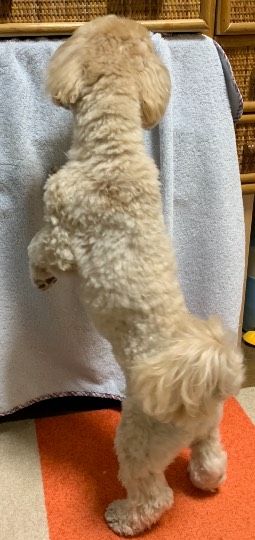 生き物ルーム第52