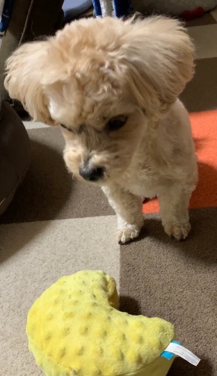 生き物ルーム第53