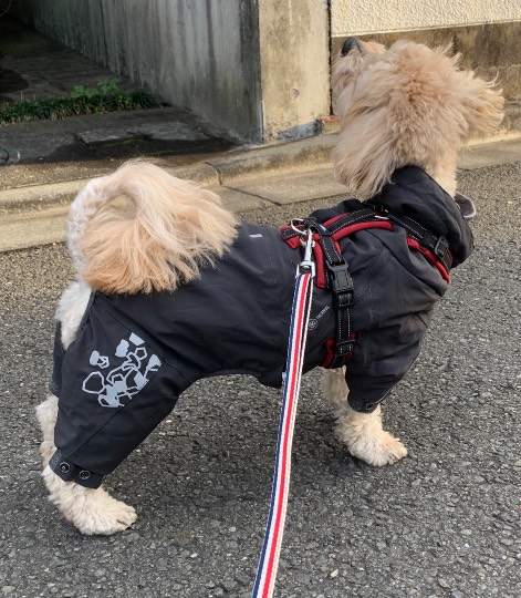 生き物ルーム第52