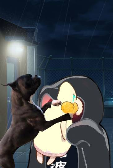 生き物ルーム第53