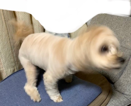 生き物ルーム第53