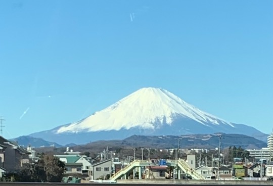 謹賀新年　2022 大トラはおるか？