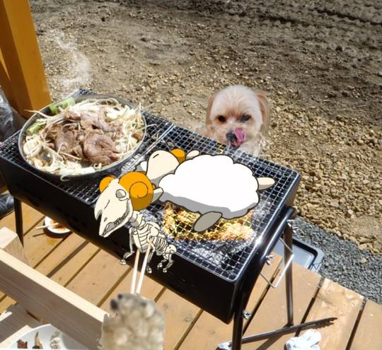 生き物ルーム第53