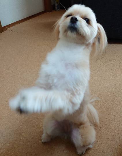 生き物ルーム第53