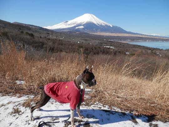生き物ルーム第52