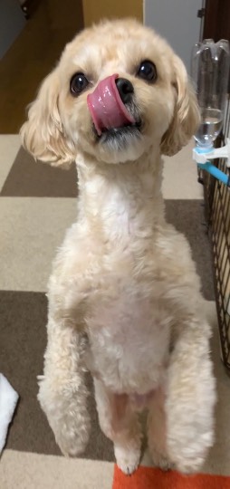 生き物ルーム第53