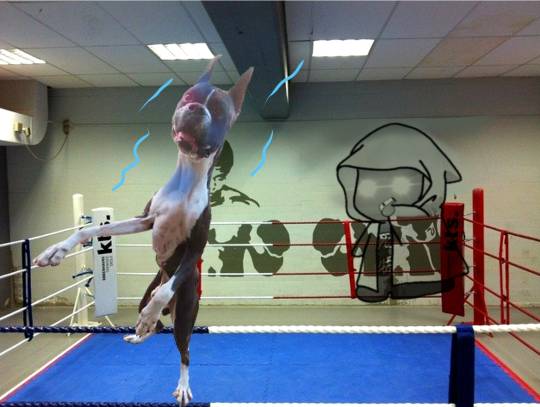 生き物ルーム第53