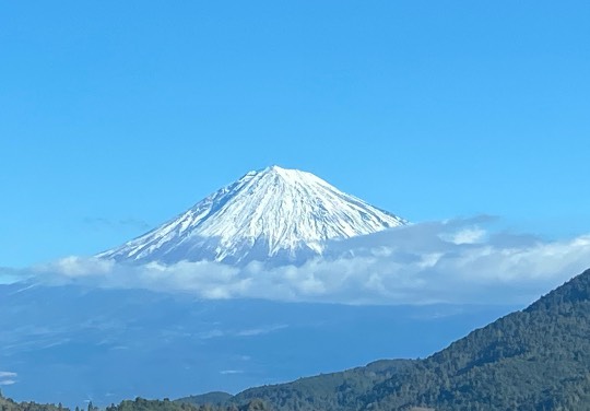 ★ドンキ♡♡ロピア 雑談54★
