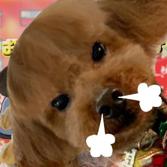 生き物ルーム第52