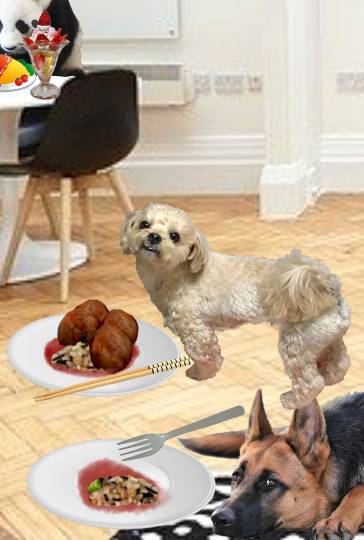 生き物ルーム第52