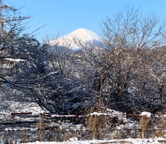 マスク同窓会詰所兼ニューフェイス歓迎所34(ありがとう)