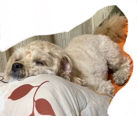 生き物ルーム第53