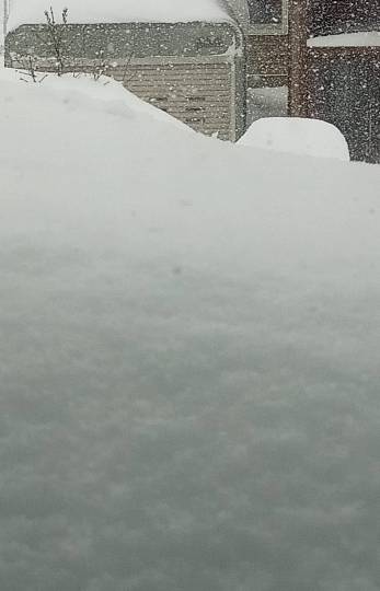 つぶやきトピック 61  年末年始も頑張りませう