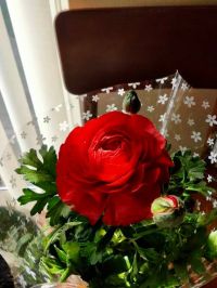 2月22日(火曜日)　広島倉庫店｜おとなのバウムがあります。
場所309...