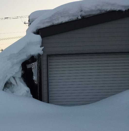 つぶやきトピック 61  年末年始も頑張りませう