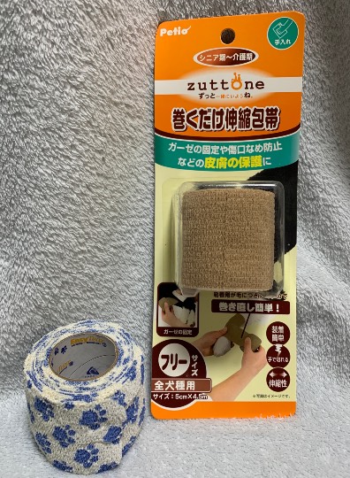 生き物ルーム第54