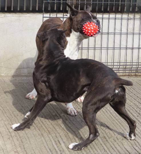 生き物ルーム第53