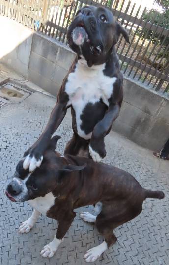 生き物ルーム第54