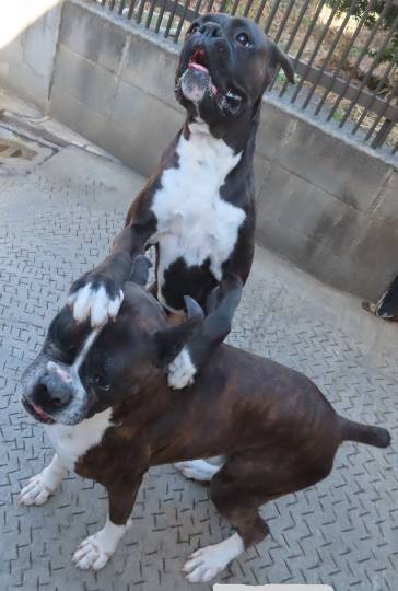 生き物ルーム第54