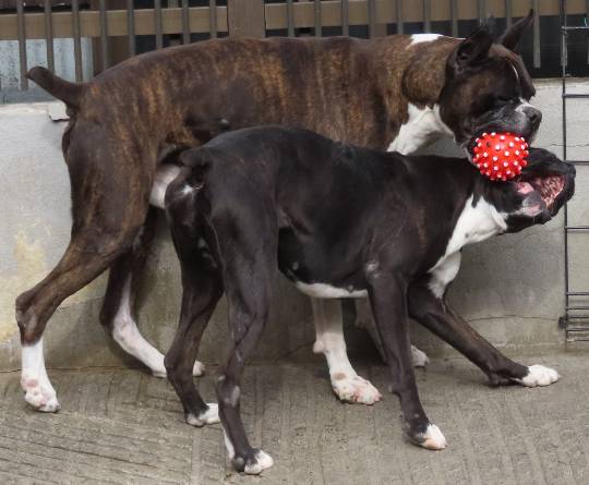 生き物ルーム第53