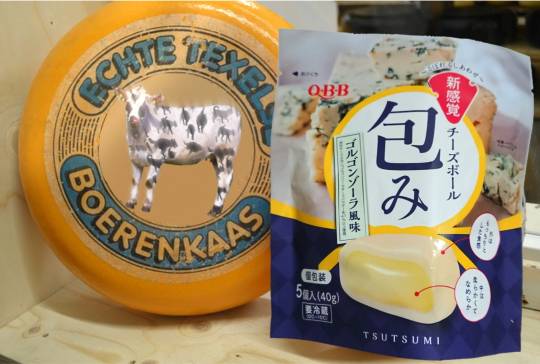 生き物ルーム第53