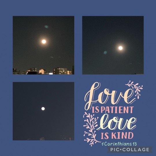 ★ドンキ♡♡ロピア 雑談57★