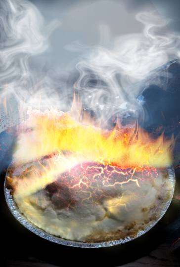 生き物ルーム第53